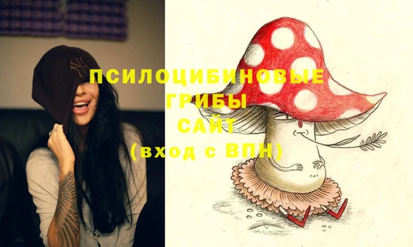 ешки Алексеевка